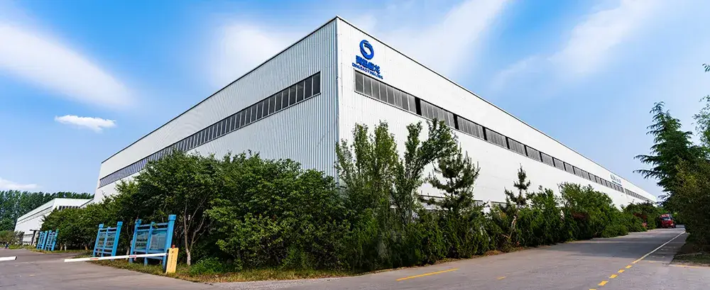 Profil de l'entreprise